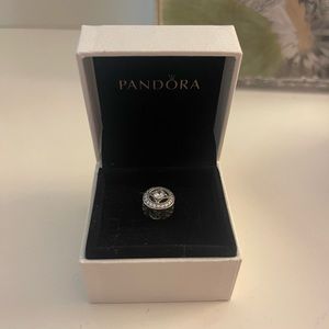 Pandora charm